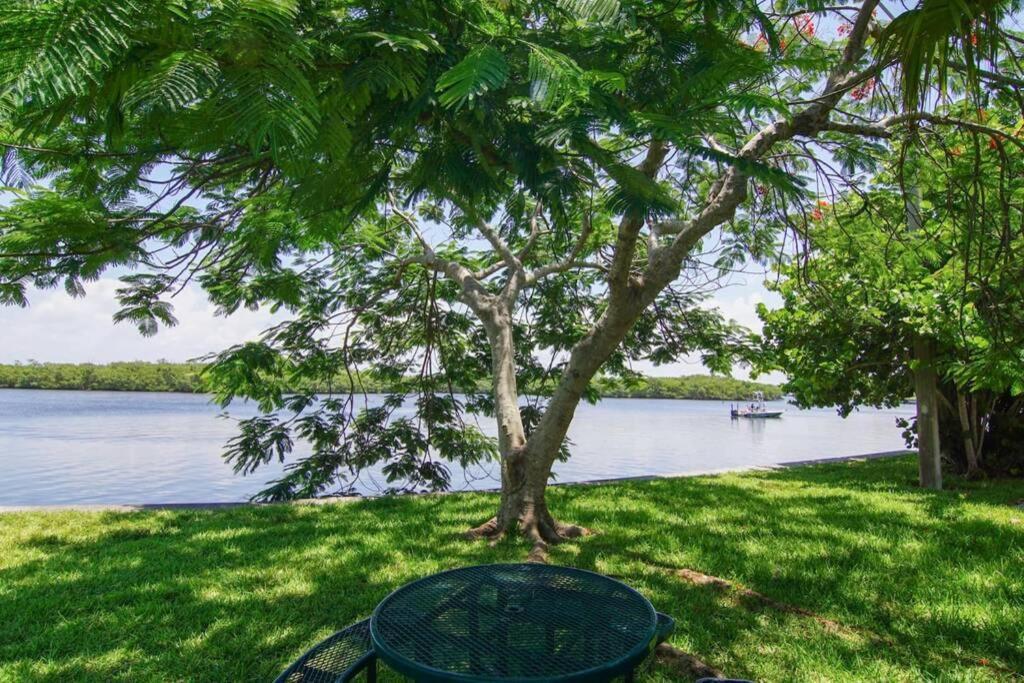 River Delight,Studio109, Beach & Pool Steps Away + Wifi Ruskin Bagian luar foto